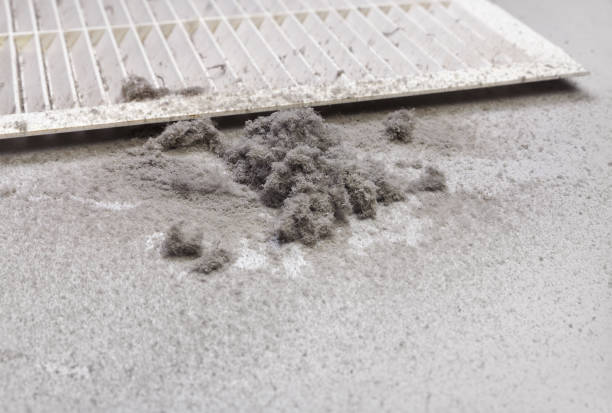Best Affordable HVAC Duct Cleaning  in Indiana, PA
